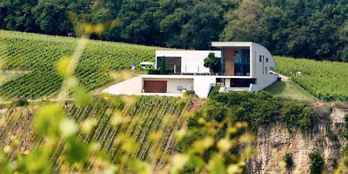 Dans les coulisses : Architecture & Art du Vin - Domaine Henri Ruppert