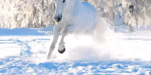 SVATOMARTINSK\u00c9 SLAVNOSTI