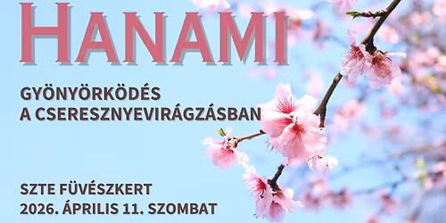 Hanami, gy\u00f6ny\u00f6rk\u00f6d\u00e9s a cseresznyevir\u00e1gz\u00e1sban