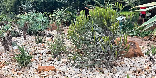 Botanical Garden parkrun #428