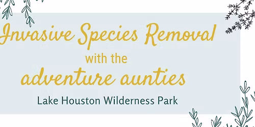 adventure aunties: invasive species removal - service day outside