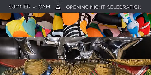 Summer at CAM Exhibition Opening Night