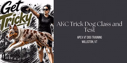 Get Tricky - AKC Trick Dog Class and Prep for Novice Trick Dog Title