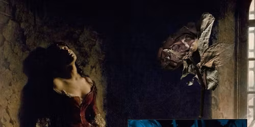 The Finer Things Book Club