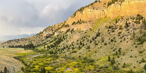 Torrey Ritter Presents: The Beaver-modified Landscape