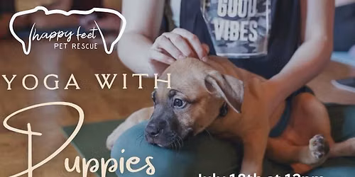 Yoga with Shelter Puppies!
