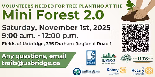 Uxbridge Mini Forest 2.0 @ Fields of Uxbridge