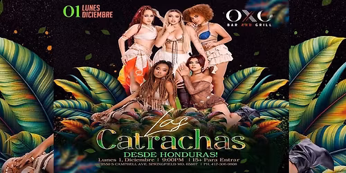 LAS CATRACHAS DESDE HONUDRAS