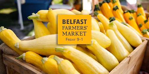 Load up on Local Food at your Belfast Farmers' Market