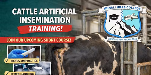Cattle Artificial Insemination Training