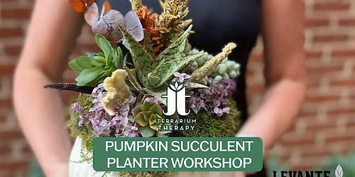 Pumpkin Succulent Planter Workshop at Levante Brewing Co