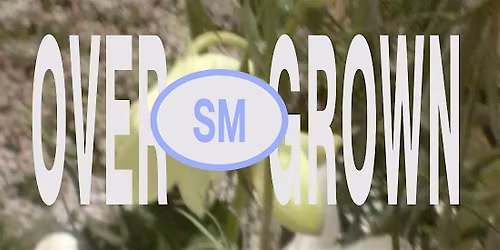 Overgrown: Forest Floor, Sensory Still Life