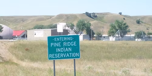 Traditional Osage Orange Bows