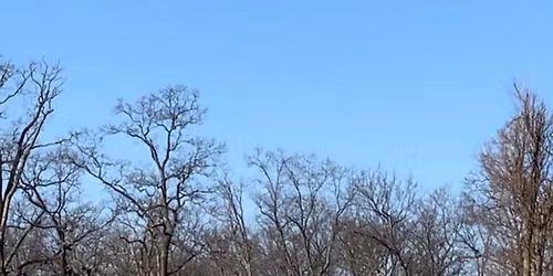 Marshmallow Drop - Nankin Mills Park
