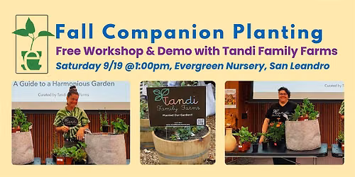 Companion Planting With Tandi Family Farms