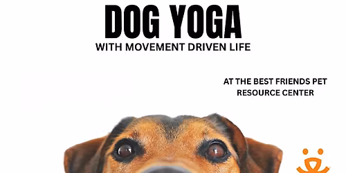 Yoga with Movement Driven Life