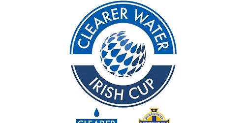 Irish Cup Final - Dungannon Swifts V Coleraine