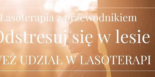 Zanurz si\u0119 w lesie. Lasoterapia z przewodnikiem