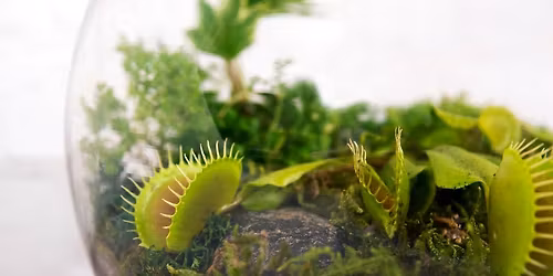 Carnivorous Plant Workshop