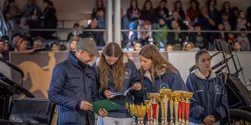 Wystawa \/ Pokaz kuc\u00f3w i ma\u0142ych koni Boles\u0142awowo