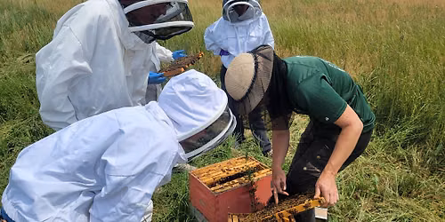Registration required: Beekeeping Workshop in Lansing, MI