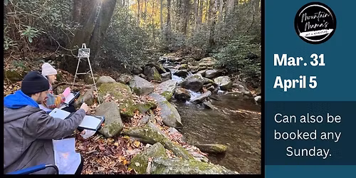 Paint & Hike to a Waterfall