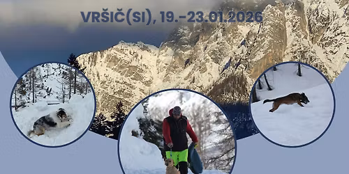 DVRPS AVALANCHE COURSE 2026 - 2.TERM