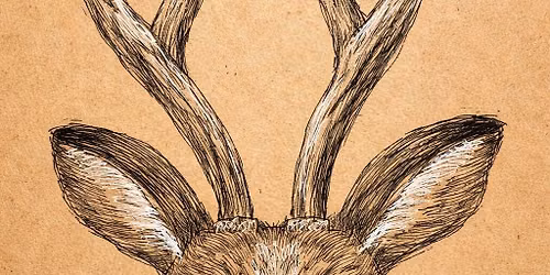 Morning Art Sessions for Adults. The Doting Deer in pen on brown craft paper.