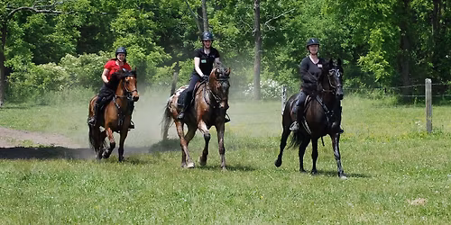 Spring Hunter Pace