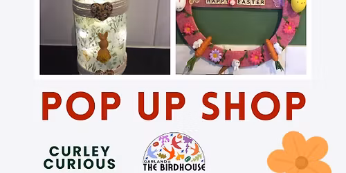 Curley curios pop up shop