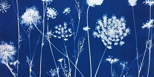 Botanical Blueprints with Linda Clark Johnson