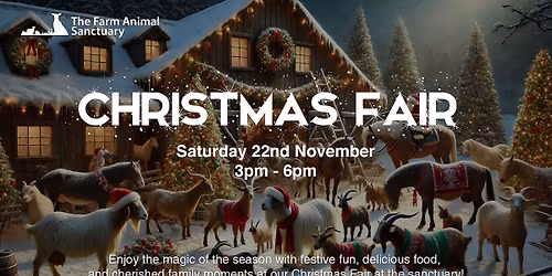 Christmas Festive Fair 2025