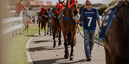 Harcourts Central Region Raceday