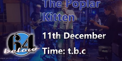 Poplar Kitten (December)