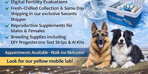 Savants at Lake Lanier Dog Show Cluster - Lawrenceville, GA