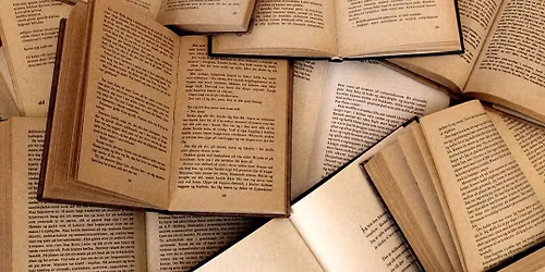 Nordiskt ljus: Nordiska r\u00e5dets litteraturpris