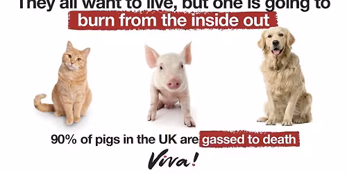 Tunbridge Wells Climate & Nature Fair