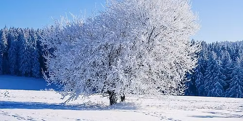 Croquis de saison : hiver