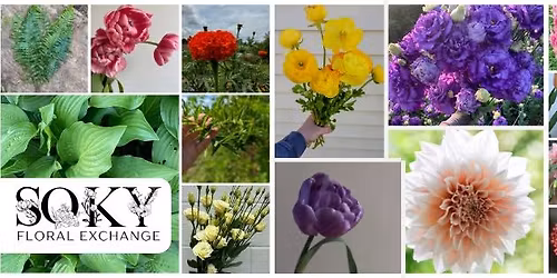 Petal Seekers Amaryllis workshop 