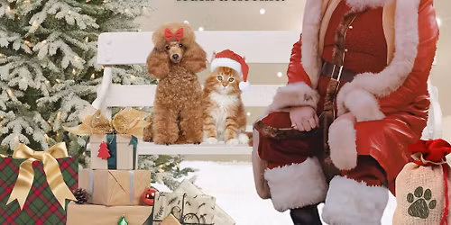 Pictures with Santa at Whole Pet Bentonville