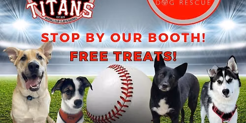 BARK IN THE PARK