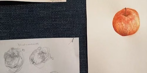 Botanical Drawing Workshop