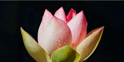 Integrative Oncology Support Clinic