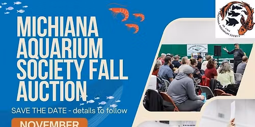 MAS Fall auction 2025