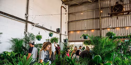 Sydney \u2013 Indoor Plant Sale - Foliage Fiesta - Willie the Boatman Brewery