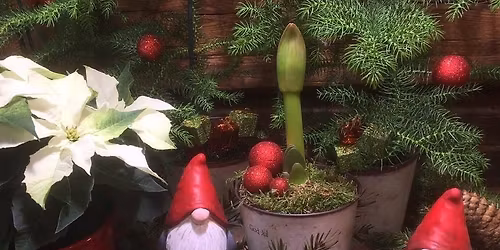 Julmarknad p\u00e5 V\u00e4xtvaruhuset