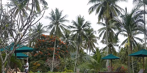 Yoga & Spa Holiday in Sri Lanka