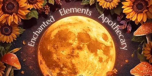 Hearth & Harvest Magic Moon Market