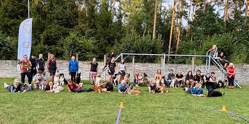 JIHO\u010cESK\u00dd OBEDIENCE KEMP III 2026