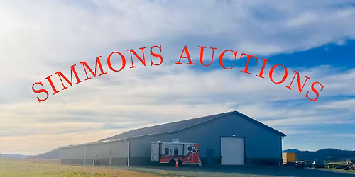 Annual New Year\u2019s day Auction